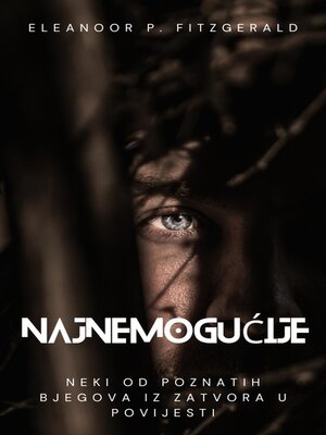 cover image of Najnemogućije